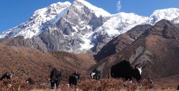 f-Uttaray-Round-Trek